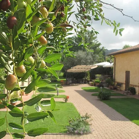 Bed & Breakfast Podere Turicchio 3*