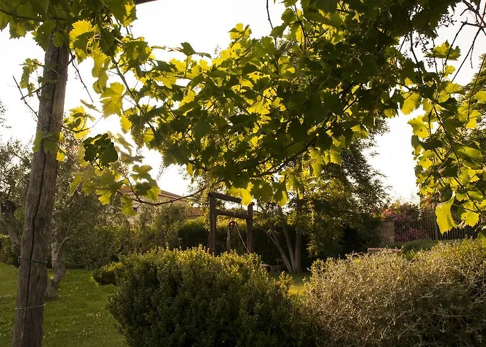 Podere Turicchio 奥尔贝泰洛